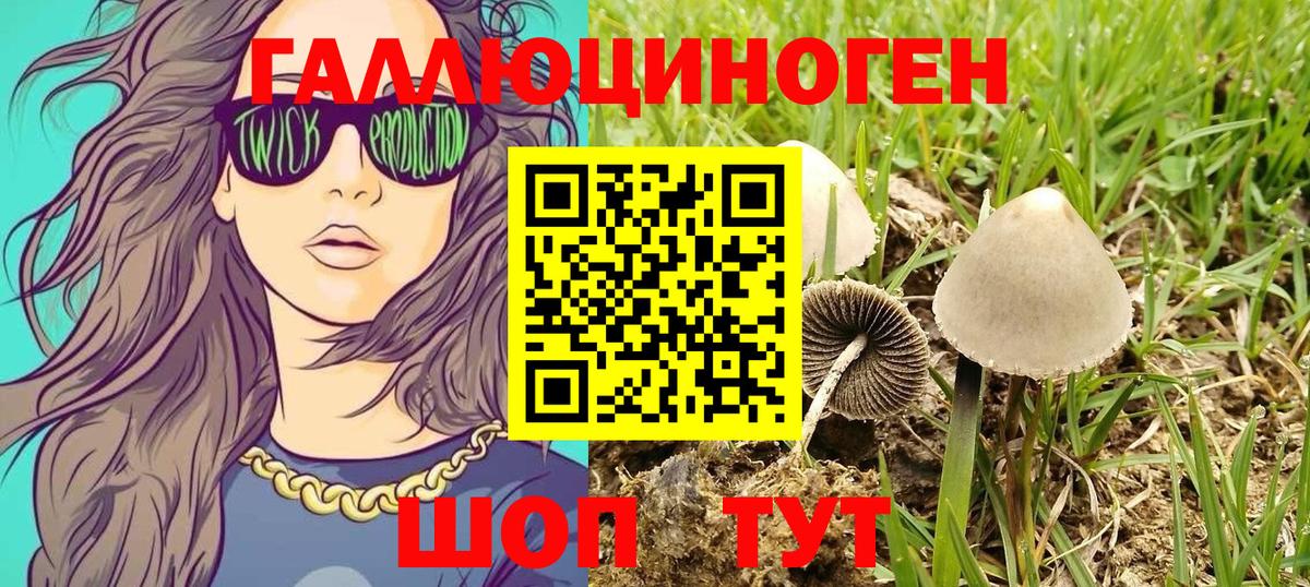 хочу   Вход с VPN  Артёмовский  Псилоцибиновые грибы ЛСД 
